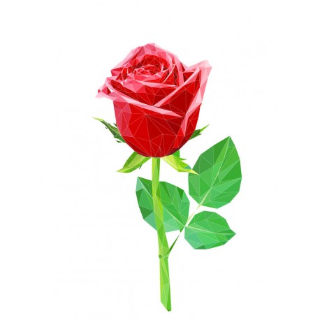 autocollant mural rose poudre deco