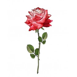 autocollant rose deco chambre