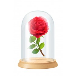 autocollant rose deco salon