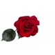 autocollant rose poudre