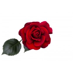 autocollant rose poudre
