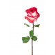 autocollant rose rouge