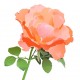 autocollants muraux rose