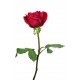 autocollants muraux rose chambre
