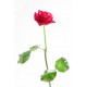 autocollants muraux rose deco