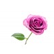 autocollants muraux rose geant