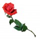 autocollants muraux rose pas cher