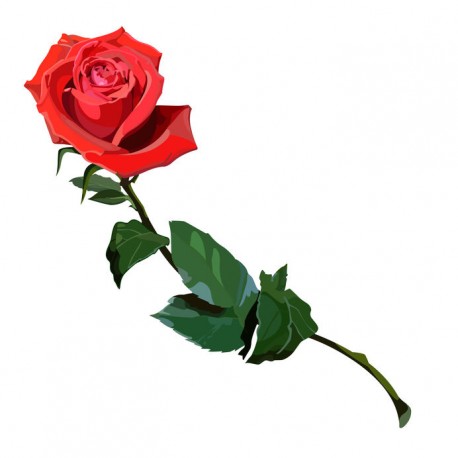 autocollants muraux rose pas cher