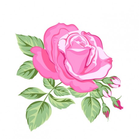 autocollants rose