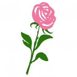 autocollants rose chambre fille