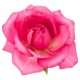 autocollants rose deco salon