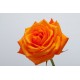 autocollants rose jaune