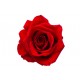 autocollants rose pas cher