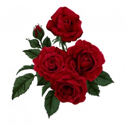 autocollants rose rouge