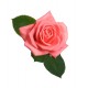 autocollants rose rouge bouquet