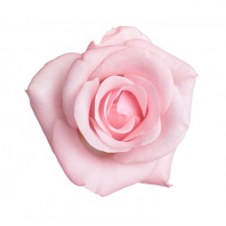 sticker mural rose geant