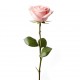 sticker mural rose poudre
