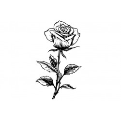 sticker rose clair fille