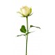 stickers muraux rose