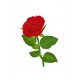 stickers muraux rose chambre