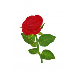 stickers muraux rose chambre