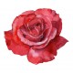 stickers muraux rose fushia