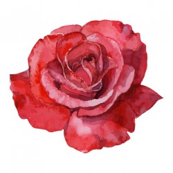 stickers muraux rose fushia
