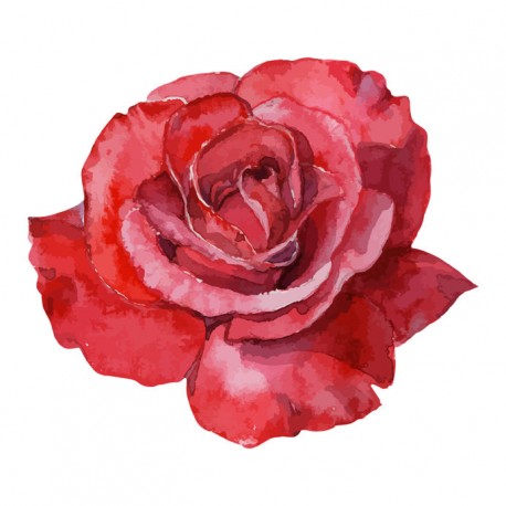 stickers muraux rose fushia