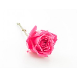 stickers muraux rose geant