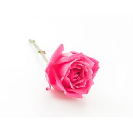 stickers muraux rose geant