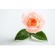 stickers muraux rose pas cher