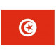Sticker - Drapeau Tunisie REFG152