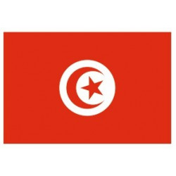 Sticker - Drapeau Tunisie REFG152
