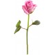 stickers rose chambre