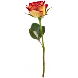 stickers rose decoration