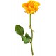 stickers rose