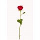 stickers rose jaune