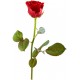 stickers rose pas cher