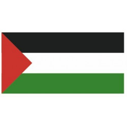 Sticker - Drapeau Palestine REFG174