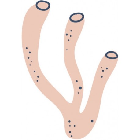 autocollant pieuvre chambre enfant