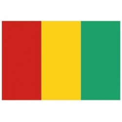 Sticker - Drapeau Guiné REFG820