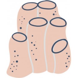 stickers pieuvre rose