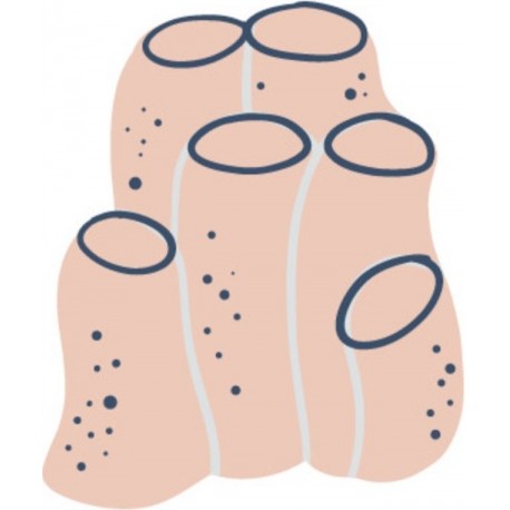 stickers pieuvre rose