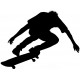 autocollants skater couleurs fond noir
