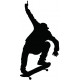 autocollants skater decoration