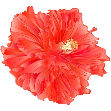 autocollant tiare chambre fille