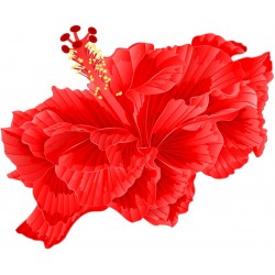 autocollant tiare decoratif