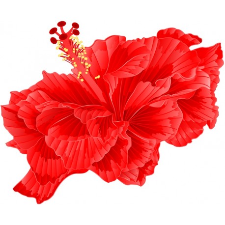 autocollant tiare decoratif