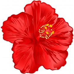 autocollant tiare rose