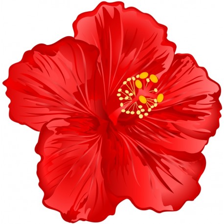 autocollant tiare rose